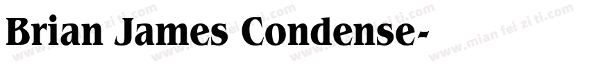 Brian James Condense字体转换